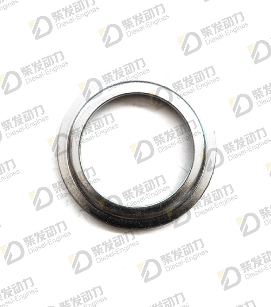 Sealing ring 965862 